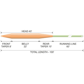 Traper Concept Presentation Fly Line Floating WF