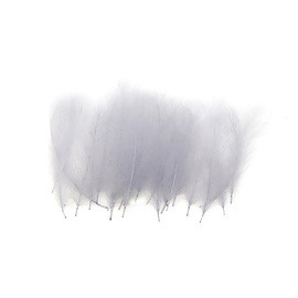 Quill & Fly CDC Superselect Colorful