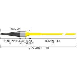 Traper Concept Deep Streamer Fly Line Sinking WF
