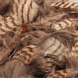 Veniard Woodcock Body Plumage