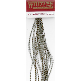 Whiting 100 Packs