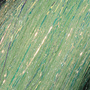 Ice Green / 19