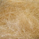 Sybai Trilobal Dubbing