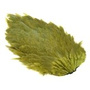 CBS189 Olive