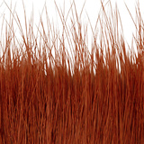 BG Nutria Shrimp Hair Supreme