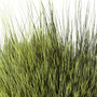10 Badger Olive/Yellow Olive