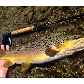 Cortland Fly Rod Competition MKII - European Style Nymphing