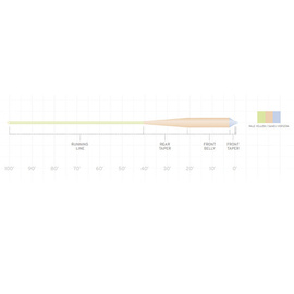 Scientific Anglers Amplitude Smooth Grand Slam Floating WF