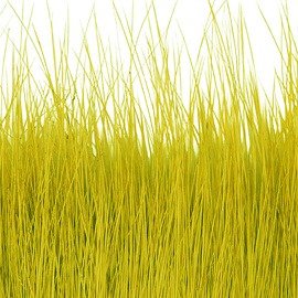 BG Nutria Shrimp Hair Supreme