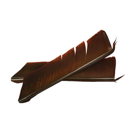 Fly-Dressing Turkey Biot Quills