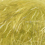 FD-TD25 UV Golden Olive