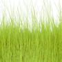 02 Chartreuse