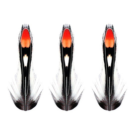 Sybai Jungle Cock Substitute Orange
