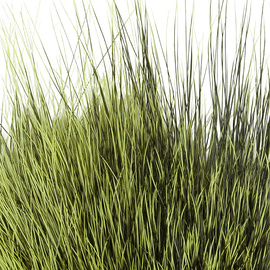 BG Nutria Shrimp Hair Supreme