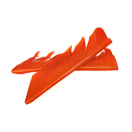 Fly-Dressing Turkey Biot Quills