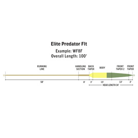 Rio Elite Predator WF-FIS3