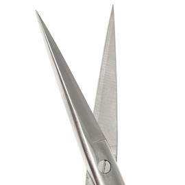 Dr. Slick Tungsten Carbide Scissors Hair 12cm Stright