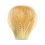 SFC430 Gold - Clear