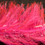Vampire Hot Coral