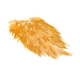 Metz Hen Saddle Grade 1