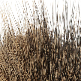 BG Nutria Shrimp Hair Supreme