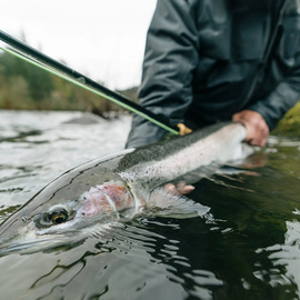 Winston Fly Rod Air 2 TH