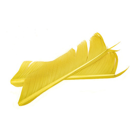 Fly-Dressing Turkey Biot Quills