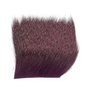 DBH293 Black Raspbery