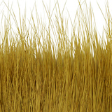 BG Nutria Shrimp Hair Supreme