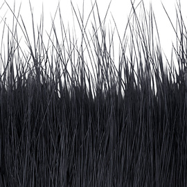 BG Nutria Shrimp Hair Supreme