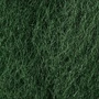 Dark Olive