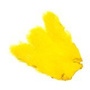 HS018 Bright Yellow