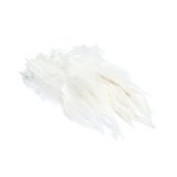 BG Cock Saddle Hackles