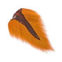 BTM013 Burnt Orange