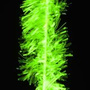 CHE-04-10 Green Fluo