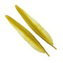 DQ166 Golden Olive