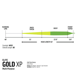 RIO Elite Gold XP WF