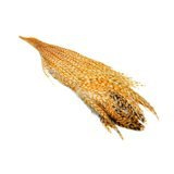 Metz Half Neck Grade 3