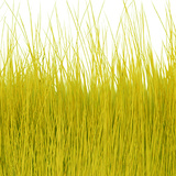 BG Nutria Shrimp Hair Supreme