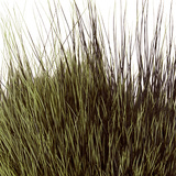 BG Nutria Shrimp Hair Supreme