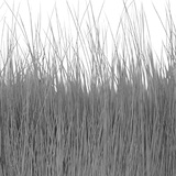 BG Nutria Shrimp Hair Supreme