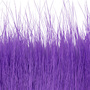 19 Purple