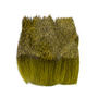 21 Yellow Olive