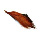 Metz Half Neck Grade 3