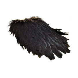 Metz Hen Saddle Grade 1