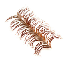 Veniard Cock Pheasant Knotted Tails