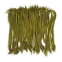 RZH089 Olive
