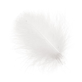 BG CDC Natural 0,5g