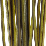 Quill & Fly Stripped Quill