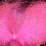 Fluo Pink